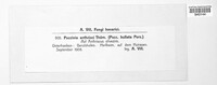 Image Associated With the Occurence